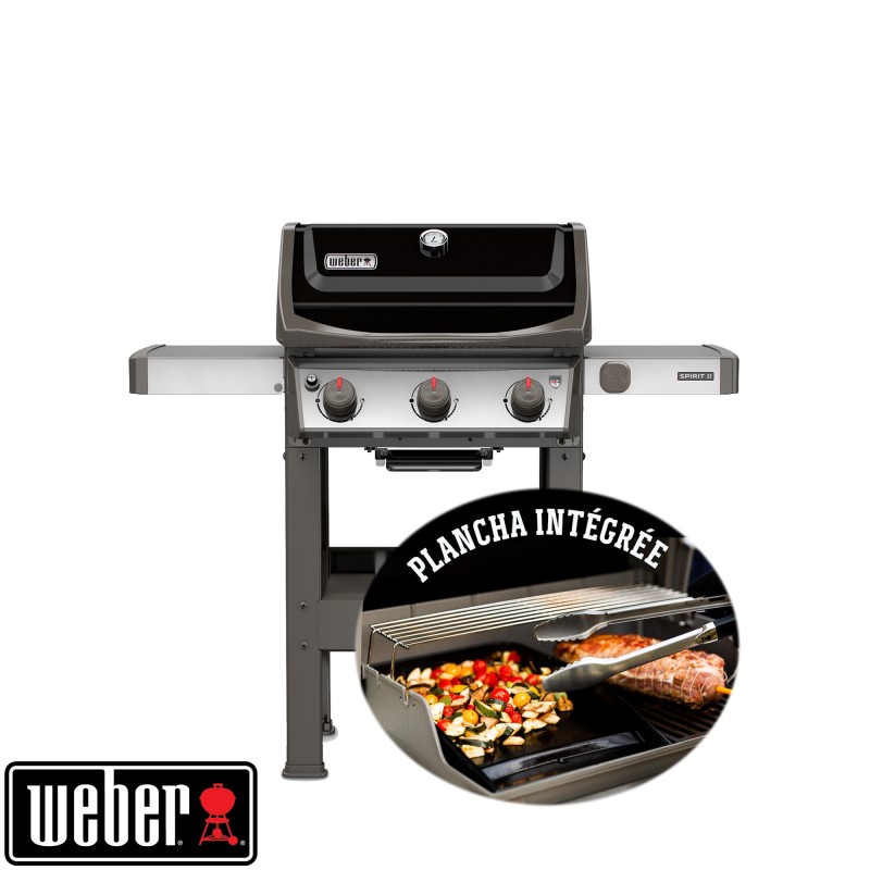 Barbecue Gaz Weber 2 feux à Tassin-la-Demi-Lune